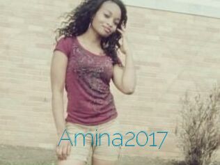 Amina2017