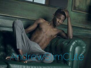 AndrewSlimCute