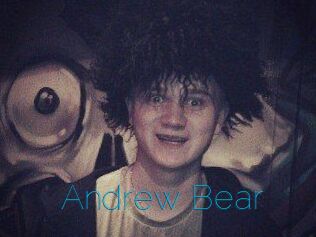 Andrew_Bear