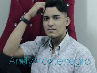 AndyMontenegro