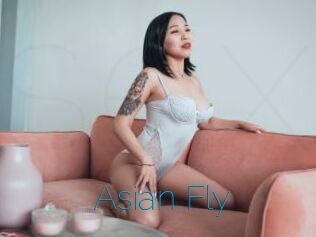 Asian_Fly