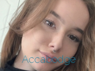 Accabodge