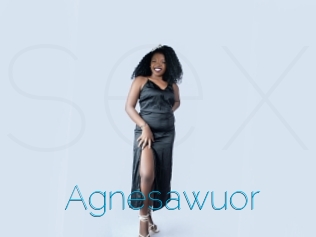 Agnesawuor