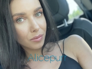 Alicepurr