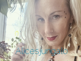 Alicesjungalo