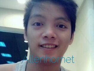 Allen_hornet