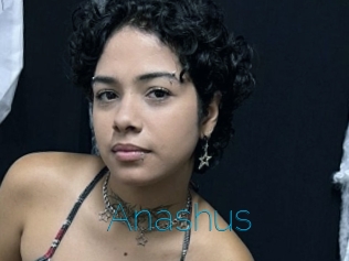 Anashus