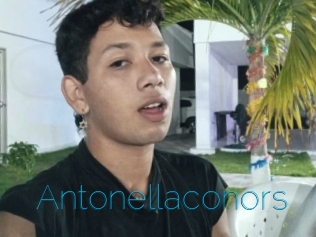 Antonellaconors