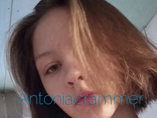 Antoniacrammer