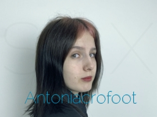 Antoniacrofoot