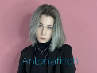 Antoniafinch