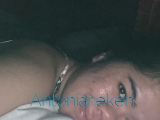 Antoniarieken