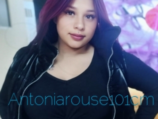 Antoniarouse101cm