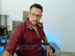 Antonywesk