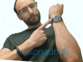 Avalonadonis