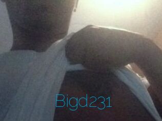 Bigd231