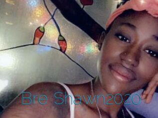 Bre_Shawn2020