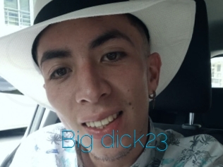 Big_dick23