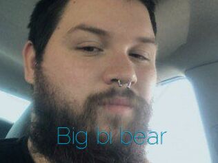 Big_bi_bear