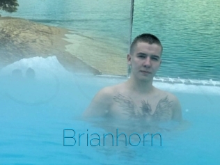 Brianhorn