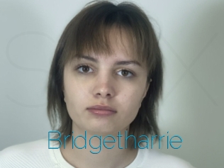 Bridgetharrie