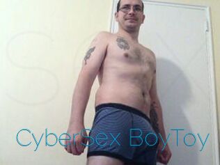 CyberSex_BoyToy