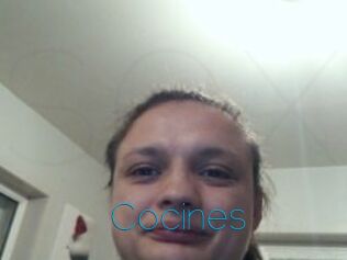Cocines