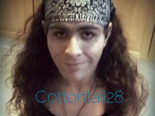 Cottontail28