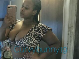 Curvybunny19