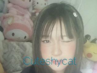 Cuteshycat