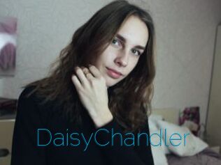 Daisy_Chandler