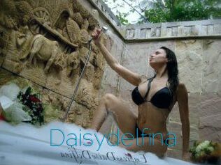 Daisydelfina