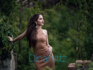 Dinafrittz