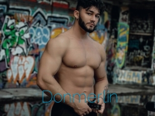 Donmerlin