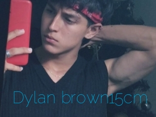 Dylan_brown15cm