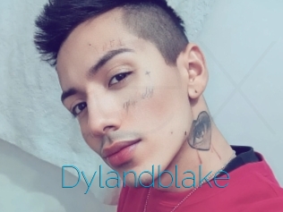 Dylandblake