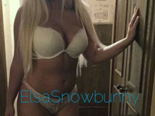 ElsaSnowbunny