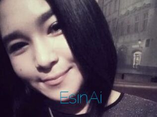 EsinAi