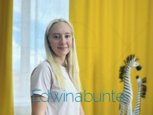 Edwinabunte