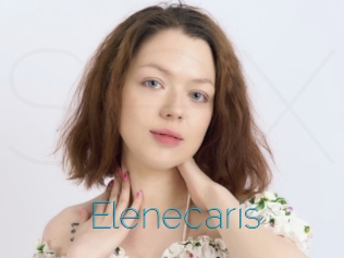 Elenecaris