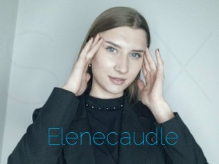 Elenecaudle