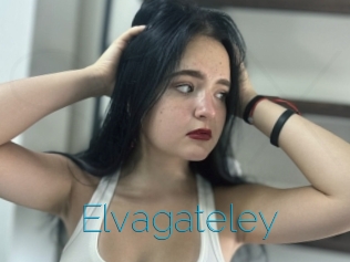 Elvagateley