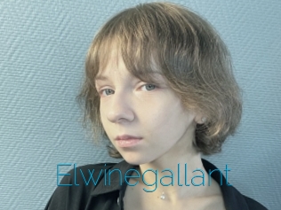 Elwinegallant