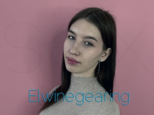 Elwinegearing