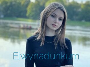 Elwynadunkum