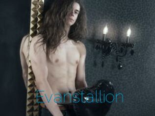 Evanstallion