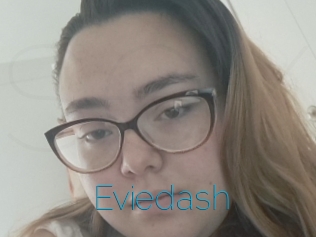 Eviedash