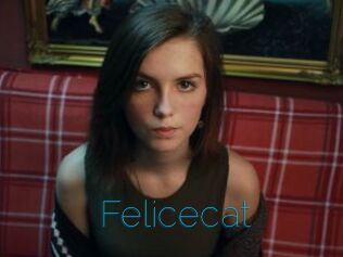 Felicecat