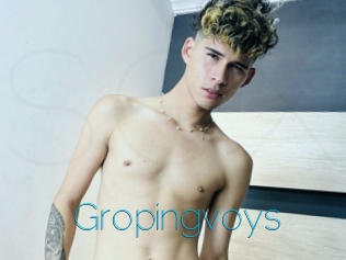 Gropingvoys