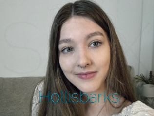 Hollisbarks
